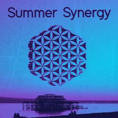 Fin Evans - Summer Synergy Mix [Tech House]