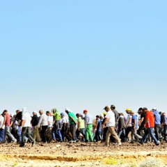 קליפ 13: מה זה שבע שנות רעב