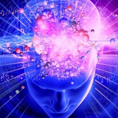Raja Gidh-Law of Attraction Concept