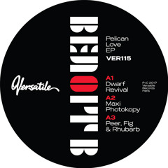 PREMIERE: Benoit B - Peer Fig And Rhubarb [Versatile]