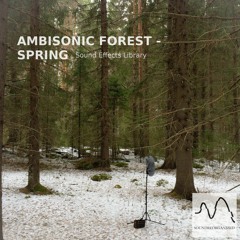 Ambisonic Forest Spring - Sound Library Preview
