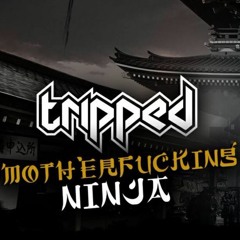 Tripped - Motherf%cking Ninja (253 BPM)