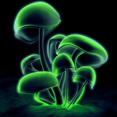 Chaos - Green  Mushroom's