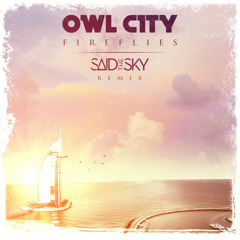 Fireflies (Said The Sky Remix)