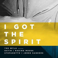 Tee-Wyla "I Got The Spirit (feat. Datin, Raging Moses, Stefanotto & Jered Sanders)"