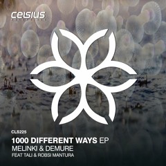 Melinki & Demure - I Wanna Be Down