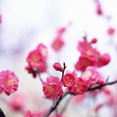 whoops, there goes my shirt