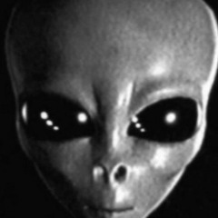 New private playlist
