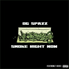 OG $PAZZ - Smoke Right Now (featuring T-Hicks)