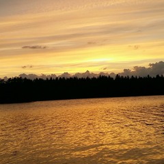 SurrounDead By Darkness