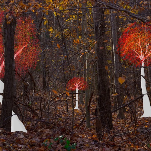 With The Trees
