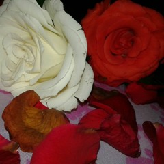 الفنانة منى منت دندني