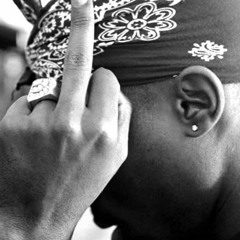 2Pac - Fake Ass Bitches