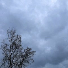 raindrop (beat tape 5)