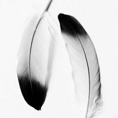 Feather Theme (Run Forrest Run)