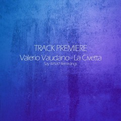 Exclusive Premiere: Valerio Vaudano - La Civetta - Say What? Recordings