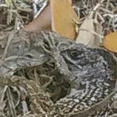 Still bleeding take 1