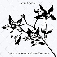 The Auchengeich Mining Disaster