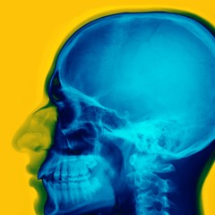 the weight of transparency | 24.11.2017 | Nouvel Ensemble Moderne conducted by Lorraine Vaillancourt