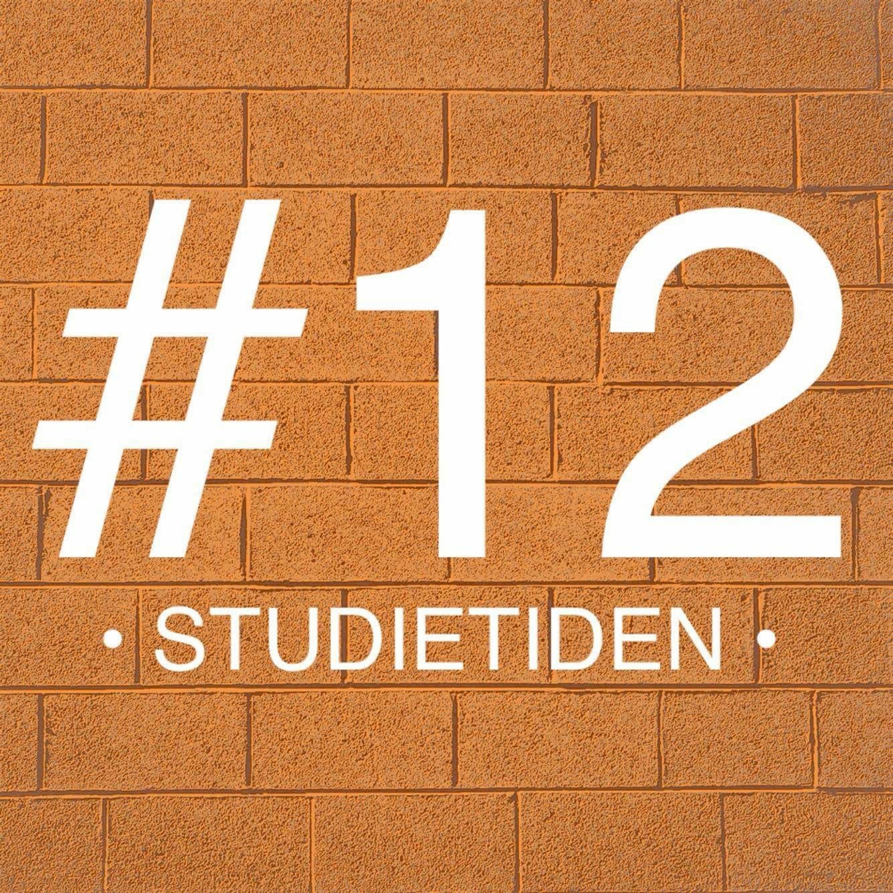 Studietiden episode artwork