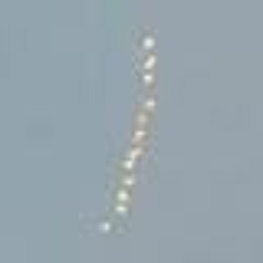 𝐌𝐚𝐣𝐞𝐬𝐭𝐢𝐜 𝟏𝟐