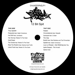 Jazz Spastiks - 12 Bit Spit LP Snippets
