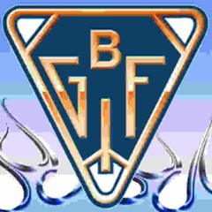 Fanfar till Bollnäs GIF eller: Hur bandyns hjältar erövrade mitt hjärta