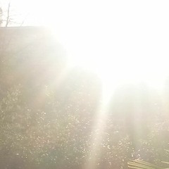 Bob Dylan - Absolutely Sweet Marie