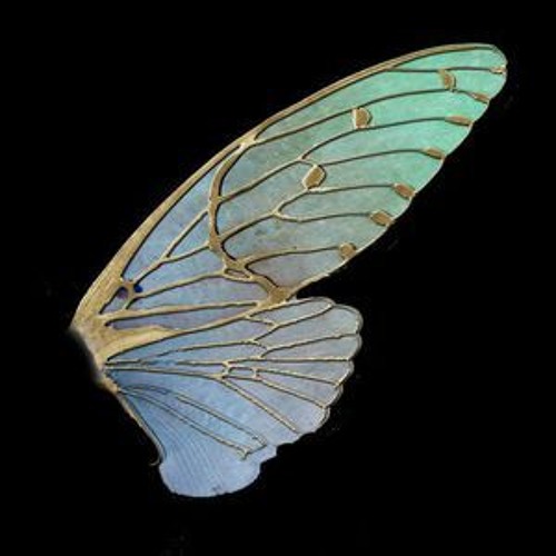 Wingmending - Medicinal Chill Mix 2016