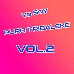 DJ GONZ BEAT - YO SOY PURO TRIBALEKE VOL.2