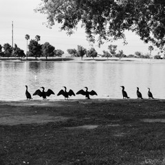 Don Juan - What You See In Me (Prod. Solow Music)