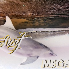 Surf - ft. (Mega8it Dub) Original Cut