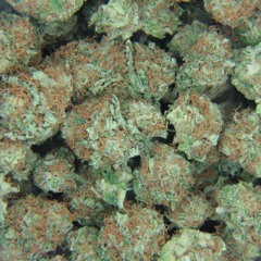 Dank (All you need)| Beat by YungCorey