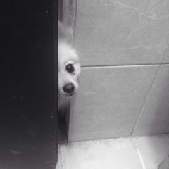 Verde Pastel (Señor Kino Cover)