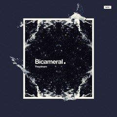 Bicameral - Theydream (Original Mix)