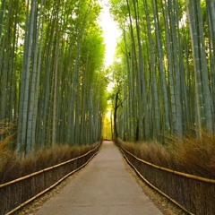 The Scenic Route