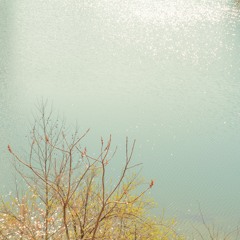 I Don't Believe in Love