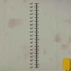 Tape Measure Demo