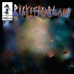 Buckethead - Pike 258 Echo