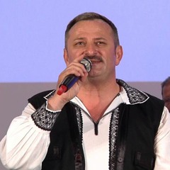 Dumitru Teleaga - Braule de mic te stiu