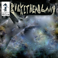 Buckethead - Pike 257 Wind of Hollow
