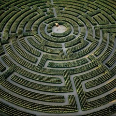 Labyrinth