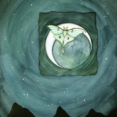 The Once Night Fly (contine du Papillon de nuit)