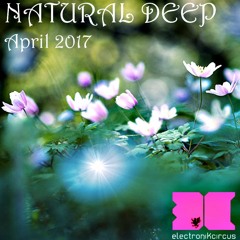 NaturalDeepApril2017