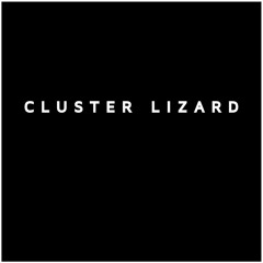 Cluster Lizard - Transmutatsia (remix for Zavoloka)