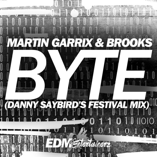 martin garrix byte