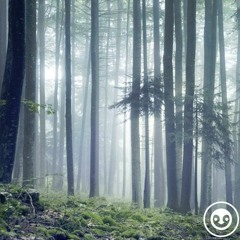 deep story exclusive nr.9 | the Glade | by Pascal Pur