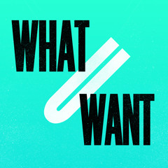 Kevin McKay - What U Want Feat. J Paul Getto (Siege Remix)