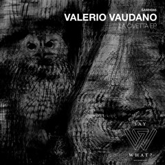Valerio Vaudano - Viola
