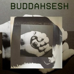 Vink X Mr. Wiselwo - Spring BuddahSesh (episode 5)